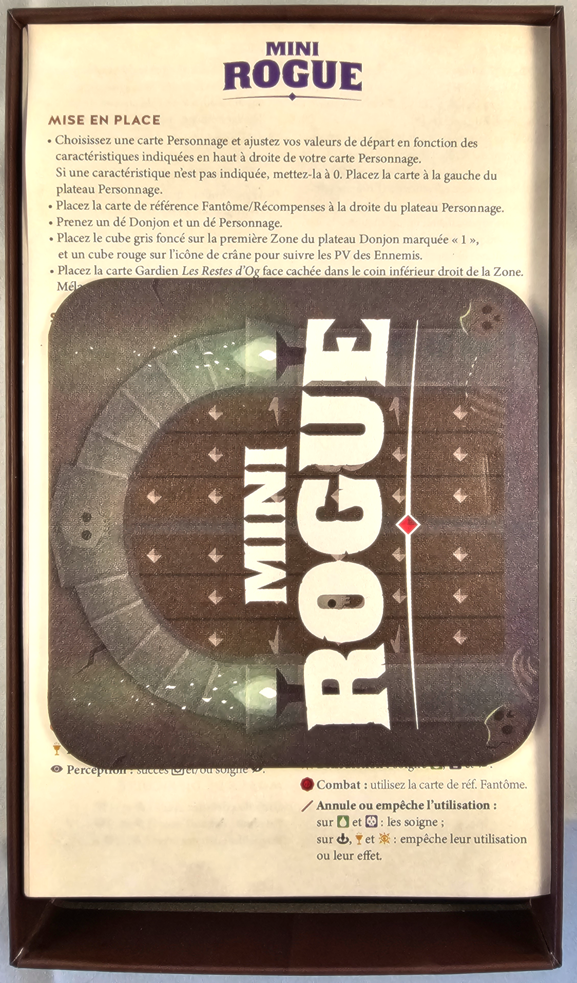 Insertion Mini Rogue